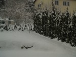 schnee