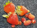 (Wald-)Erdbeeren